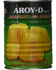 AroyD Jackfruit in Syrup 20 Ounce Pack of 6