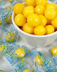 Lemonheads Candy 3lb Bulk Bag Approximately 235 pieces Sour Hard Candy Yellow Candy Indvidually Wrapped Lemonhead Bulk Candy The Hampton Popcorn  Candy Company