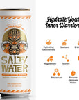 SaltyWater Electrolyte Drink Orange  Zero Sugar Premium Sports Drink Minerals Taurine BVitamins Zinc NonCarbonated Zero Caffeine Hydration Drink  12 Pack 12 oz