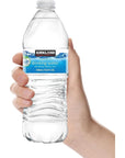 Blue Ribbon Kirkland Signature Purified Drinking Water 169 Fl Oz Pack of 10 Total of 169 Fl Oz