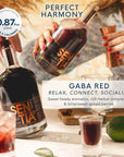 Sentia Gaba Red Botanical Non Alcoholic Spirits Vegan Gluten Free and GM Free Zero Proof Alcohol Alternative 169 fl oz 500ml  Perfect for Mocktails