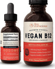 Vegan Vitamin B12 Sublingual Liquid Drops by Live Conscious- Methylcobalamin Max Strength B12 5000mcg Formula - Vegan B 12 Vitamin Support Energy & Mood, Promote Memory, Aid Immune System - 60 Serving