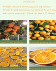 Sweetened Dried Valencia Orange Slices great for Cakes Cocktails Baking or eat right out of the bag  16 oz1 lb in total