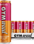 GYM WEED Adaptogens  Caffeine Drink  Mango Razz 12pk  Focus Fuel No Jitters  Ashwagandha Lions Mane LTheanine Green Tea Caffeine with Zero Sugar  12 fl oz