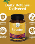 L Lysine 1000mg Nutritional Supplements - L-lysine Essential Amino Acids for Eye Health Lip Care Bone Support Immune System Support Muscle Growth and Vegetarian Collagen Production - 240 Tablets