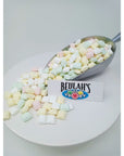 Richardson Pastel Party Mints small mints 1 pound