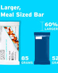 SANS Meal Replacement Protein Bar Gluten Free Healthy High Protein Snacks High Fiber No Sugar Added Dairy Free Soy Free Variety Pack 12 Bars