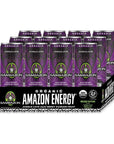 Sambazon Organic Amazon Energy Drink - 12 Fl Oz (Pack of 12)