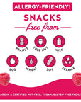 Blake’s Seed Based Snack Bar - Raspberry (12 Bars), Nut Free, Gluten Free, Dairy Free & Vegan, Healthy Snacks for Kids or Adults, Fruit Bar Flavor, Great for Breakfast, Organic