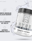 Ryse Element Series Fermented L-Glutamine Amino-Acid | Muscular & Cellular Recovery & Hydration | Gut, Intestinal, & Immune Health | 60 Servings