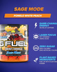 G Fuel Sage Mode Energy Powder, Sugar Free, Clean Caffeine Focus Supplement, Water Mix, Pomelo Fruit + Peaches Flavor, Focus Amino, Vitamin + Antioxidants Blend - 9.8 oz (40 Servings)