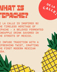 De La Calle Tepache  Grapefruit Lime  Modern Mexican Soda  Craft Fermented Pineapple Sparkling Beverage  Certified Organic Antioxidant Rich NonAlcoholic Healthy Soda Low Sugar Low Calorie NonGMO