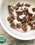 Lark Ellen Farm Vanilla Cinnamon Grain Free Granola Organic Raw Sprouted Certified Organic Low Sugar Vegan Granola Clusters Paleo Granola Crunchy Gluten Free Granola Bites for Cereal or Yogurt 8 oz 6 Pack