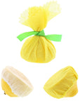 Royal Yellow Lemon Wedge Bags Package of 100