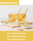 Organic Lemongrass Tea Bags  40 Natural Corn Fiber Sachets  for Hot or Cold Drinks  Caffeine Free