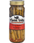 Amish Valley Products Pickled Aspargus Spears Glass Jar Vegetable Zesty One Jar