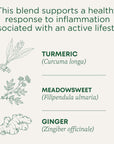 Traditional Medicinals Tea Organic Turmeric wMeadowsweet  Ginger Supports a Healthy Response to Inflammation 16 Tea Bags