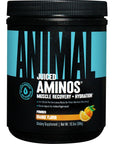 Animal Juiced Aminos - 6g BCAA/EAA Matrix plus 4g Amino Acid Blend for Recovery and Improved Performance - Orange - 30 Servings, 13.5 Ounce