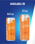 Red Bull Amber Edition Strawberry Apricot Energy Drink 84 Fl Oz Pack of 24