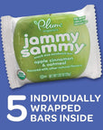 Plum Organics Kids Jammy Sammy Apple Cinnamon  Oatmeal 102 Oz 5 Pack