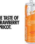 Red Bull Energy Drink Amber Edition Strawberry Apricot 12 fl oz 4 Pack