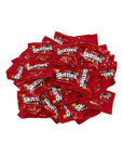 Skittles Original Flavor Candy Coated Fruit Chew Fun Size 1 Lbs Individually Wrapped Bulk Party Assortment 25 Bite Size Mini Packs In Resealable Bag 16 Oz