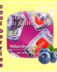 Velamints Sugar Free Mints Expressions  AspartameFree Sweetened with Stevia 20 Gram Pack of 6 Cool Berries