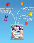 Welch's Fruit Snacks, Mixed Fruit, Spring Bulk Pack, Gluten Free, Individual Single Serve Bags, 0.5oz (Pack of 250)