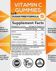 Sugar Free Vitamin C Gummies - Immune Support & Antioxidant Vitamin Dietary Supplement - Vegan, Non-GMO, Dairy & Gluten Free C Gummy Vitamins - Raspberry Flavor for Kids & Adults - 120 Count Gummies