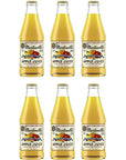 Martinellis Sparkling Apple Juice Glass Bottles 6 Pack Total of 60floz