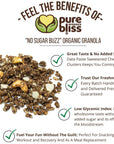 Pure Bliss Organic Low Sugar Granola (Cocoa Cashew Butter) Gluten Free, Vegan, Non-GMO, Low Glycemic, Best Tasting No Sugar Added, Superfoods, Healthy Snack Granola Cereal, Date Sweetened, Whole Foods "No Sugar Buzz" (Value Pack: 3 X 12oz Bags)