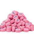 Pink Wintergreen Mints by Cambie  2 lbs of Wintergreen Mint Bulk Candy  Deliciously Sweet  Refreshing Mint Lozenges  Packaged Fresh in a Resealable Stand Up Pouch  2 lb