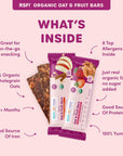 Ready, Set, Food! Organic Oat Fruit Bars | Apple Cinnamon & Peanut Butter Strawberry (Variety 4 Pk) | Organic Toddler Snack Bar 8 Top Allergens: Peanut, Egg, Milk, Cashew, Almond, Walnut, Sesame, Soy