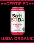 Sati Soda  Organic  Functional 12 Pack  4045 Calories Only 9 Grams of Organic Cane Sugar AllNatural Ingredients with Benefits