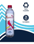 St Louis Cardinals Bottled Water  Naturally Filtered Spring Water in 169 Fl Oz PET Plastic Bottles Recyclable and BPAFree Case of 24 by Sports Water