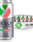 Yesly Enhanced Still Water - Zero Calorie - 16 Fl Oz (Pack of 12)