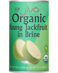 Jiva Organic Young Green Jackfruit 14 Ounce Pack of 6  BPA Free Gluten Free Jackfruit Canned Delicious Vegan Meatless Alternative