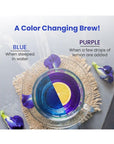 BLUE TEA  Butterfly Pea Flower  30 Pyramid Tea Bags  SUPER ANTIOXIDENT  Direct From Source  Flower Based  Herbal Tea  Caffeine Free  PlantBased Biodegradable Tea Bag  Pet Jar Packaging