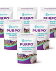 Bevivas PURPO Granola Vegan glutenfree prebiotic inulin purple sweet potato fruit high fibre and low sugar healthy snacks ice creamyogurt toppings 6 Pack