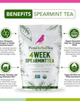 PCOS Spearmint Organic Tea helps hormone balance reduce unwanted hair clear acne healthy skin 1pack