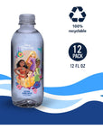 Disney Princess Collection Bottled Water  Naturally Filtered Spring Water in 12 Fl Ounce PET Plastic Bottles Recyclable and BPAFree Case of 12 Artisan Picnic by WaterCo