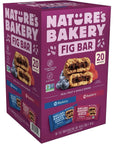 Natures Bakery Fig Bar 20 Twin Packs 2oz  Snack Bar Variety Pack Blueberry and Raspberry Whole Wheat NonGMO Kosher Certified Vegan  In 4K Logistics Packaging 20 Count