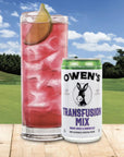 Owens Craft Mixers  Transfusion Mix 10 Pack  Handcrafted in the USA with Premium Ingredients  Vegan  GlutenFree Soda Mocktail and Cocktail Mixer