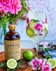 El Guapo Bitters Tonic Syrup 85 fl oz  Crafted with Fresh Citrus and Organic Botanicals  Cocktail Mixer for Gin  Tonics  Gluten Free  Vegetarian