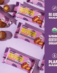 Sweet Nothings, Superfood Nut Butter Bites Organic Snack, Oatmeal Raisin, Filled with Peanut Butter, 24-2 Bite Packs - No Added Sugar, Plant Based, Vegan, Only 7 Ingredients