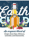 Fermentaholics Organic Earth Child Brew Blends Secondary Fermentation Flavoring for Kombucha Water Kefir and Other Fermented Drinks