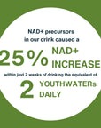 YOUTHWATER Cucumber NAD Enhancing Flavored Water 0 Sugar Low Calorie With Vitamin C B and NAD Precursors Pack of 12