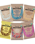 Bearded Brothers Organic Vegan Energy Bars - Gluten & Soy Free, Paleo, Whole 30 | Non GMO, Low Glycemic, High Protein, Fiber | 12pk Six Flavor Variety