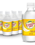 Canada Dry Tonic Water 24 Pack  Plastic 10 fl oz Bottles  Incredibly Crisp and Perfectly Refreshing  The Standard For Carbonated Beverages  Your GoTo Mixer to Add a Little Fizz to Your Beverages  By Murai