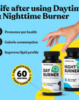 ColonBroom Day & Night Burner Supplements, Pills for Women/Men with Inulin, L-carnitine, Coenzyme Q 10, Grain of Paradise and More, Colon Broom 60 Vegan Capsules Per Container